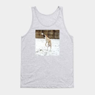 Anatolian shepherd catching a snowball Tank Top